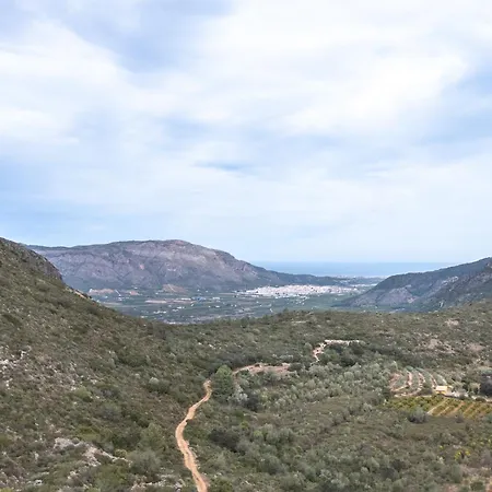 Falaguera 1 * Bárig